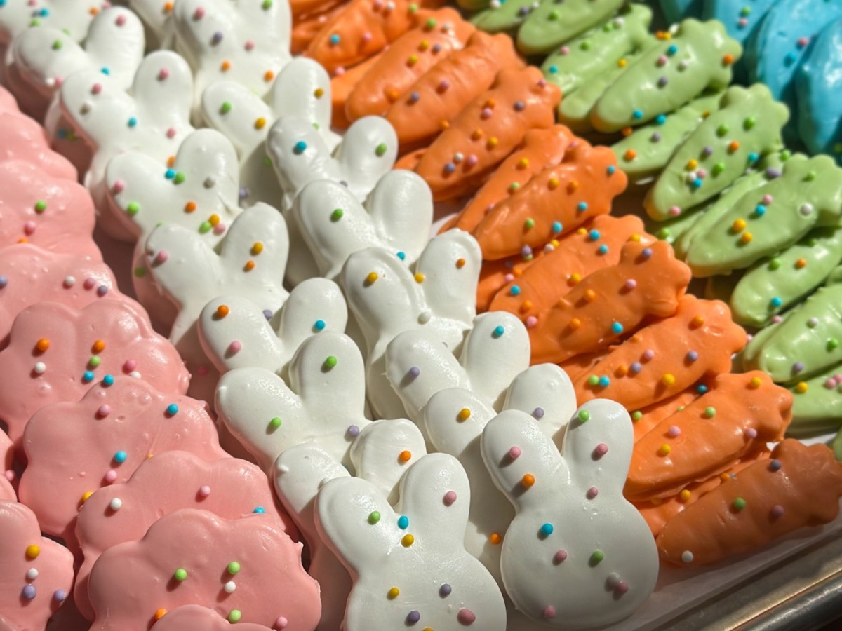 Spring Circus Animal&nbsp;Cookies